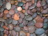 Red Mexican Pebble - wet