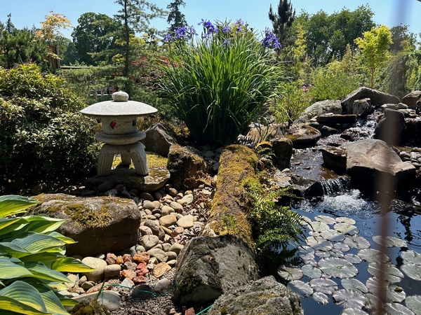 Image A customers first Japanese Garden