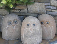 Image STONE OWLS, SHORE BIRDS & DRAGONFLIES