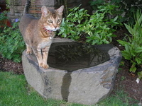 Image Stone Columns & Bowls