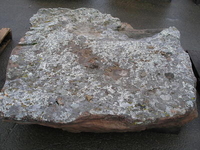 Image High Plains Rustic