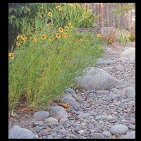 Image Dry Streambed Landscapes